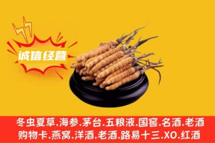 镇江回收冬虫夏草